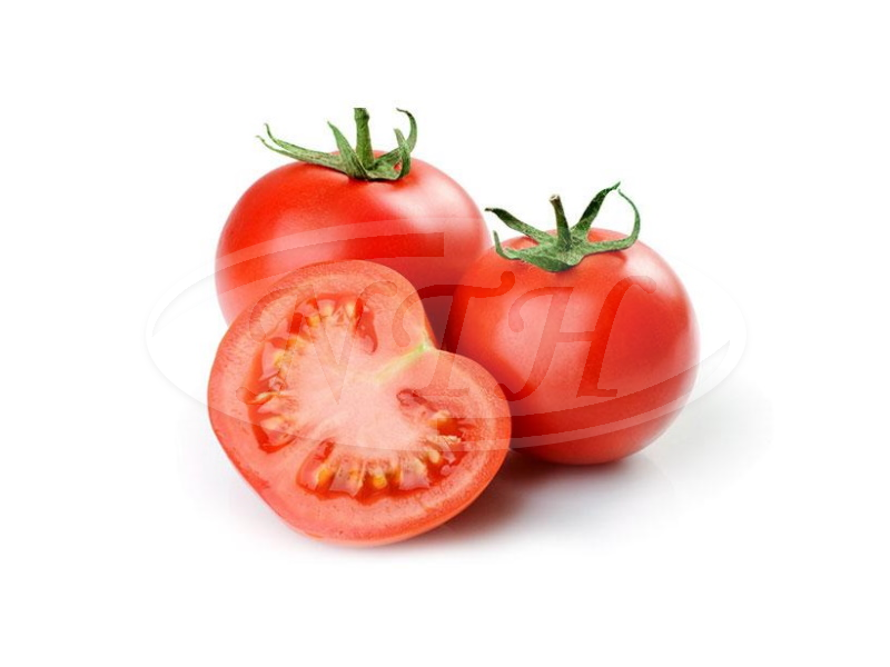 Tomato / Tomato
